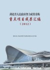 湖北省人民政府智力成果采购重点项目成果汇编封面