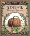 奇妙的南瓜