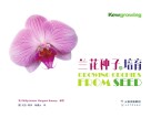 兰花种子的培育封面