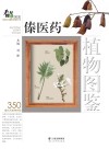 傣医药植物图鉴
