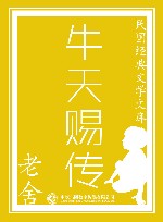 牛天赐传