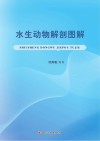 水生动物解剖图解