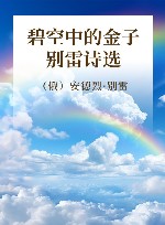 金色俄罗斯丛书  18  碧空中的金子 别雷诗选封面