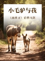 小毛驴与我