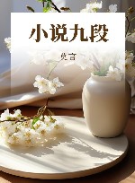 小说九段