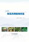 元谋县常见药用植物图鉴