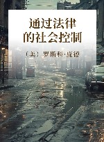 通过法律的社会控制