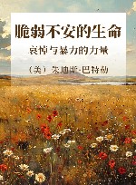脆弱不安的生命 哀悼与暴力的力量封面