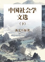 中国社会学文选  下封面