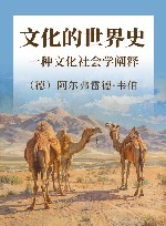 文化的世界史  一种文化社会学阐释封面