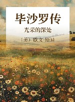 毕沙罗传  光荣的深处