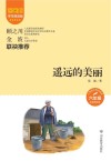 爱阅读课本里的作家  遥远的美丽  六年级