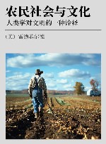农民社会与文化  人类学对文明的一种诠释封面