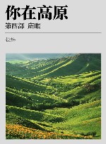 你在高原  第4部  鹿眼 封面