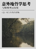 意外地哲学思考  与埃利·杜灵访谈封面