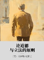 论道德与立法的原则封面