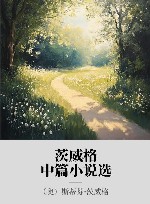 茨威格中篇小说选 封面