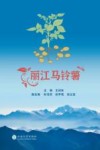 丽江马铃薯封面