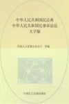 中华人民共和国民法典  中华人民共和国民事诉讼法  大字版