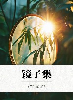 镜子集