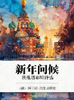 新年问候  茨维塔耶娃诗选 封面