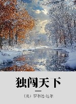 独闯天下 封面