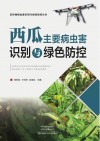 农作物病虫害识别与绿色防控丛书 西瓜主要病虫害识别与绿色防控封面