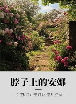 脖子上的安娜 封面