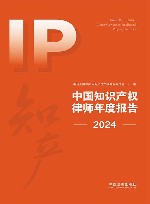 中国知识产权律师年度报告  2024