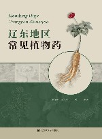 辽东地区常见植物药封面