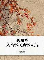 龚佩华人类学民族学文集封面