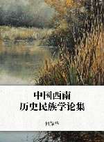 中国西南历史民族学论集封面