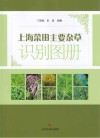 上海菜田主要杂草识别图册封面