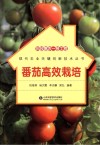 科技惠农一号工程  番茄高效栽培封面