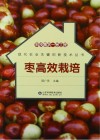 科技惠农一号工程 枣高效栽培封面