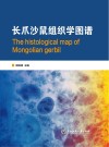 长爪沙鼠组织学图谱 电子书封面