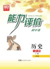 能力评价初中·历史  八年级  下  人教版