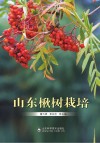 山东楸树栽培封面