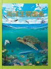 海洋生物图鉴封面
