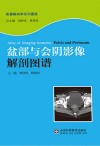 影像解剖学系列图谱  盆部与会阴影像解剖图谱