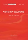 中国知识产权制度封面