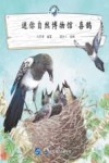 迷你自然博物馆  喜鹊