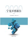 宁夏区情报告  2020  下