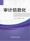 审计信息化