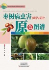 枣树病虫害诊断与防控原色图谱封面