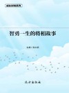 智勇一生的将相故事 封面