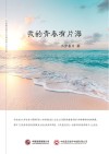 我的青春有片海 封面