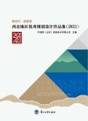 新时代·新探索：西北地区优秀规划设计作品集  2021