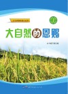 大自然的恩赐封面