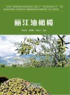 丽江油橄榄